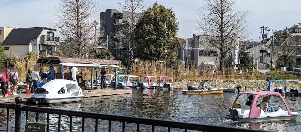 石神井公園のボート乗り場の様子