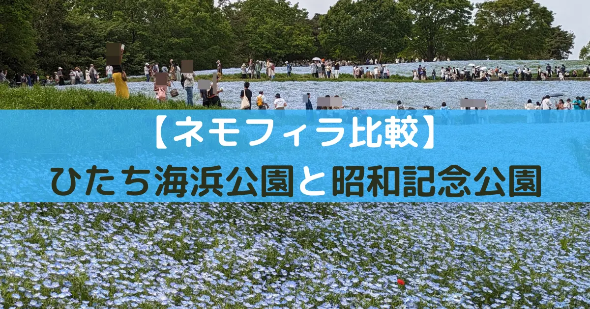 【ネモフィラ比較】 ひたち海浜公園と昭和記念公園