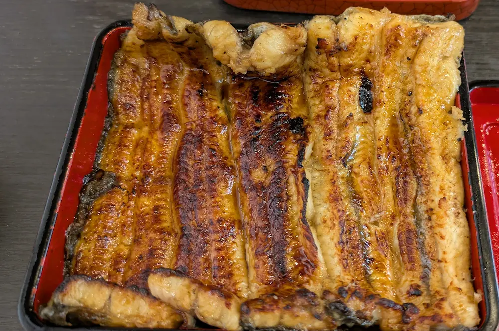 東長崎の鰻家のうな重特上